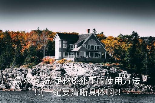 急求 實況 足球8 補丁的使用方法!!(一定要清晰具體啊!!