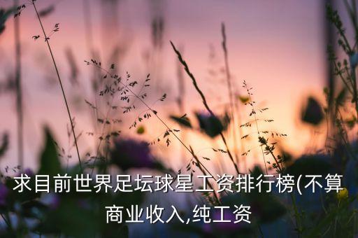 職業(yè)足球月薪,普通足球運(yùn)動(dòng)員的月薪