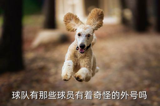 球隊有那些球員有著奇怪的外號嗎