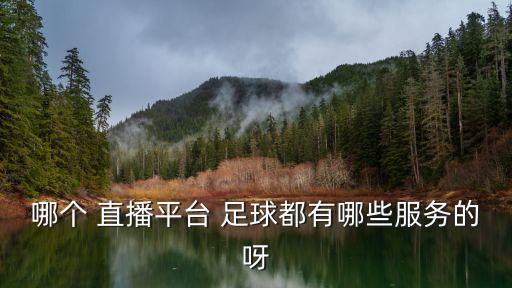 哪個 直播平臺 足球都有哪些服務的呀