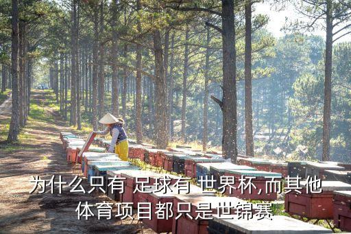 為什么只有 足球有 世界杯,而其他體育項(xiàng)目都只是世錦賽