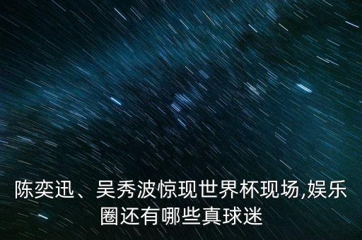 陳奕迅、吳秀波驚現(xiàn)世界杯現(xiàn)場(chǎng),娛樂(lè)圈還有哪些真球迷