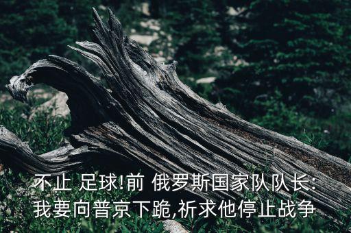 不止 足球!前 俄羅斯國(guó)家隊(duì)隊(duì)長(zhǎng):我要向普京下跪,祈求他停止戰(zhàn)爭(zhēng)