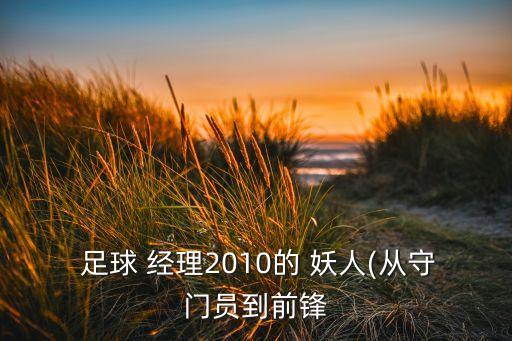  足球 經(jīng)理2010的 妖人(從守門員到前鋒