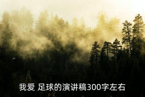 我愛(ài)足球足球海南,足球手抄報(bào) 簡(jiǎn)單,漂亮我愛(ài)足球