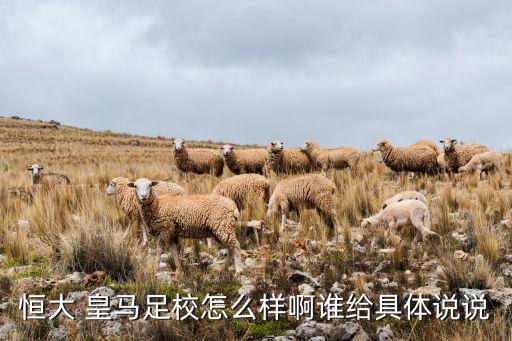 恒大 皇馬足校怎么樣啊誰(shuí)給具體說說