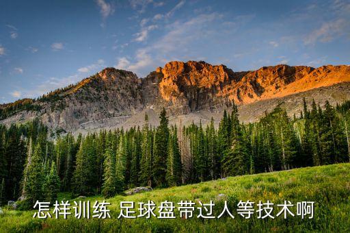 怎樣訓(xùn)練 足球盤帶過人等技術(shù)啊