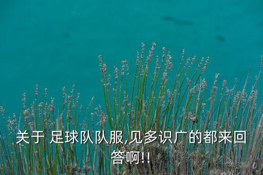 足球隊(duì)的衣服圖片大全,世界杯足球隊(duì)標(biāo)志圖片大全