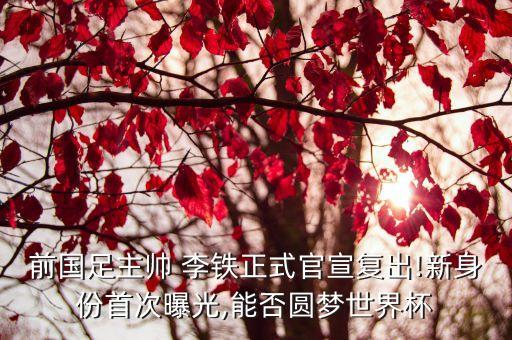 任丘李鐵足球,足球李鐵個(gè)人資料簡介