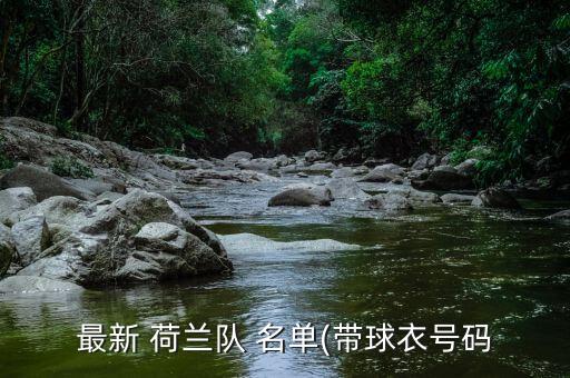 最新 荷蘭隊(duì) 名單(帶球衣號(hào)碼