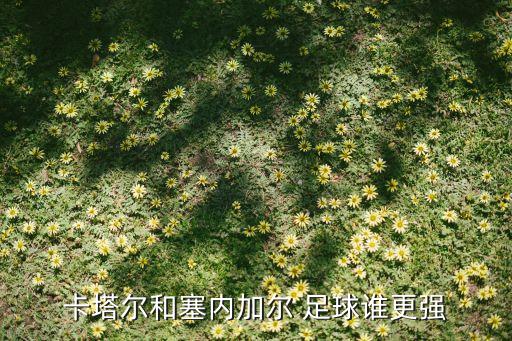 卡塔爾和塞內(nèi)加爾 足球誰更強