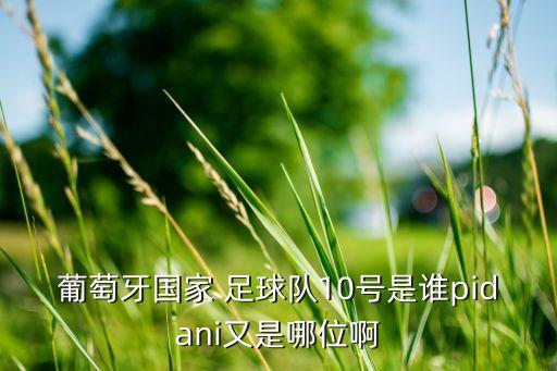 葡萄牙國家 足球隊(duì)10號(hào)是誰pidani又是哪位啊