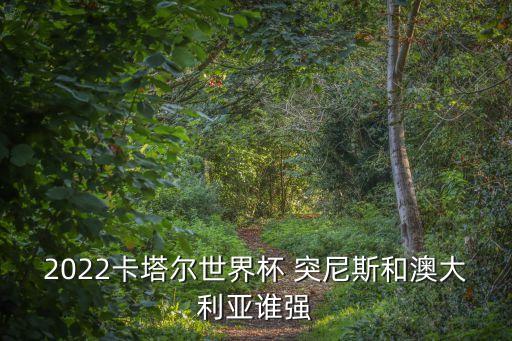 突尼西亞足球?qū)Ψ朗? /></a><a href=