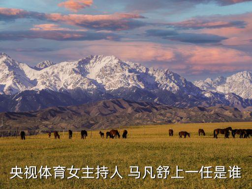 天下足球 馬凡舒