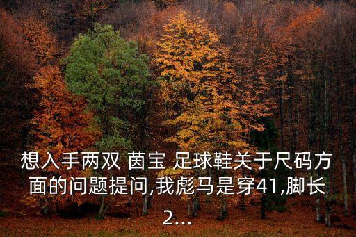 想入手兩雙 茵寶 足球鞋關于尺碼方面的問題提問,我彪馬是穿41,腳長2...