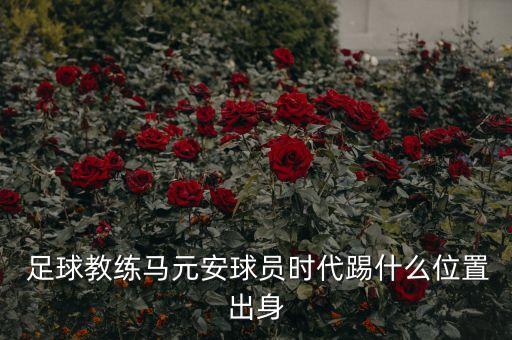  足球教練馬元安球員時(shí)代踢什么位置出身