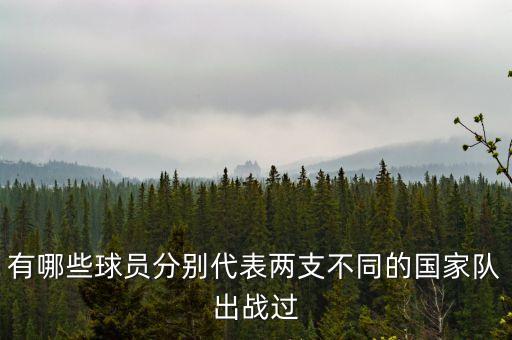 有哪些球員分別代表兩支不同的國(guó)家隊(duì)出戰(zhàn)過