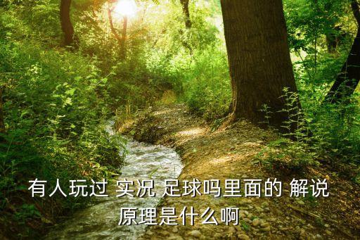 有人玩過 實(shí)況 足球嗎里面的 解說原理是什么啊