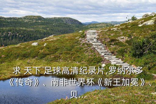 求 天下 足球高清紀(jì)錄片,羅納爾多《傳奇》、南非世界杯《新王加冕》、貝...