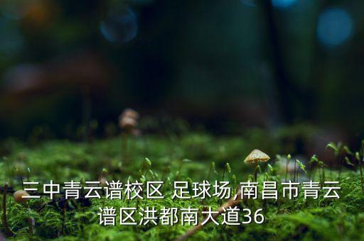 足球訓(xùn)練營(yíng)開營(yíng)講話