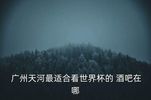  廣州天河最適合看世界杯的 酒吧在哪