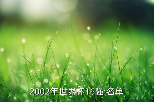 2002年世界杯16強 名單