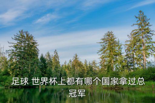 足球世界杯誰奪冠