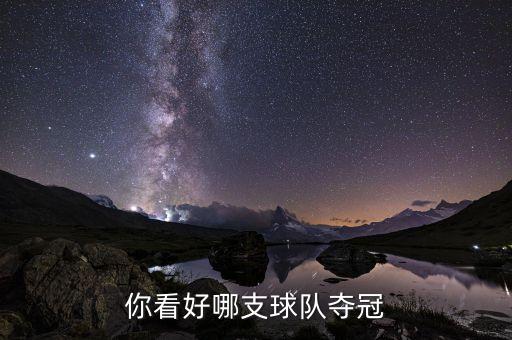 世界杯足球衛(wèi)冕