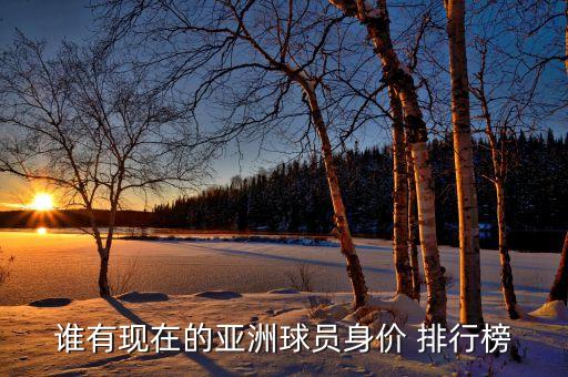 誰有現(xiàn)在的亞洲球員身價(jià) 排行榜
