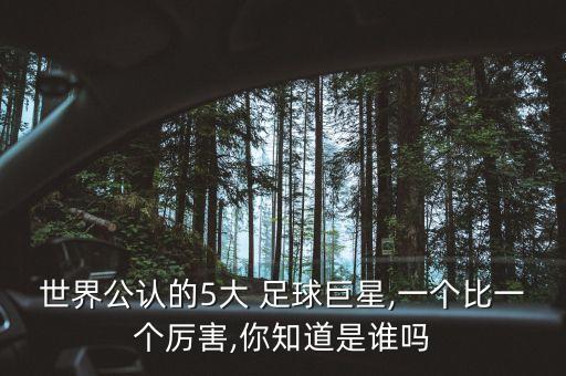 世界公認(rèn)的5大 足球巨星,一個(gè)比一個(gè)厲害,你知道是誰(shuí)嗎