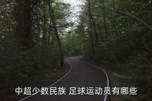 中超少數(shù)民族 足球運(yùn)動員有哪些