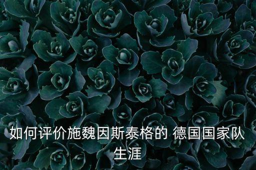 如何評價施魏因斯泰格的 德國國家隊(duì)生涯