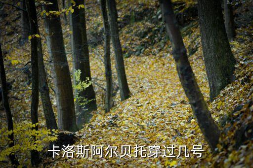 卡洛斯阿爾貝托穿過(guò)幾號(hào)