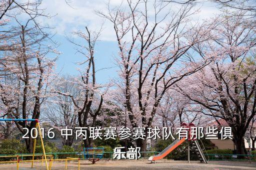 國內中丙足球隊,國內足球隊排行榜前十名