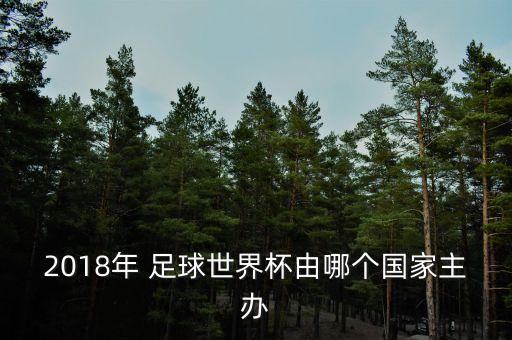 2018年 足球世界杯由哪個國家主辦