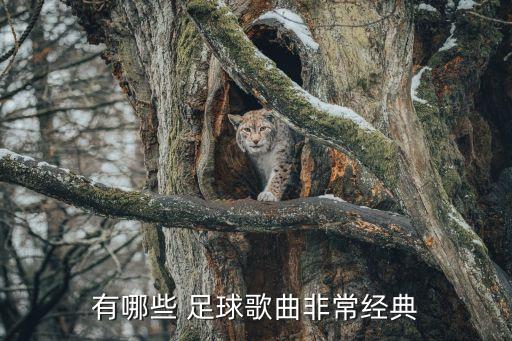 有哪些 足球歌曲非常經典