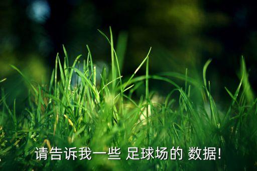 請告訴我一些 足球場的 數(shù)據(jù)!