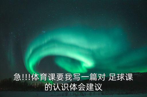 急!!!體育課要我寫一篇對 足球課的認(rèn)識體會建議