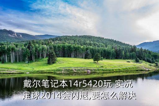 戴爾筆記本14r5420玩 實況 足球2014會閃退,要怎么解決