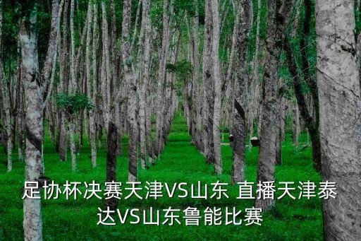 足協(xié)杯決賽天津VS山東 直播天津泰達(dá)VS山東魯能比賽
