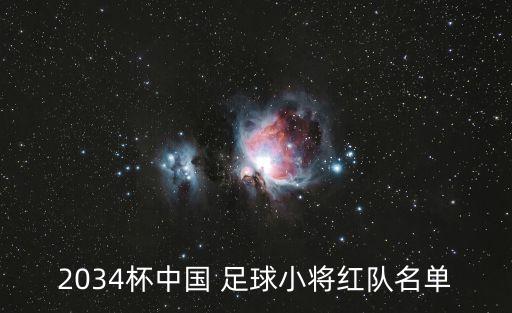 2034杯中國 足球小將紅隊名單