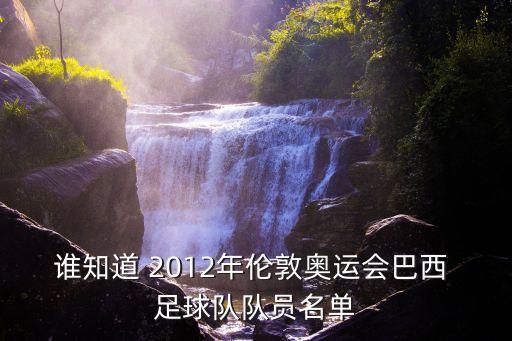 誰知道 2012年倫敦奧運(yùn)會(huì)巴西 足球隊(duì)隊(duì)員名單