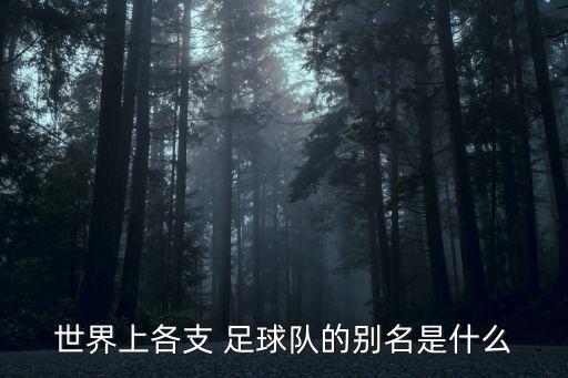 巴西和巴拉圭足球隊,巴拉圭足球隊世界排名