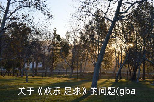 關(guān)于《歡樂 足球》的問題(gba