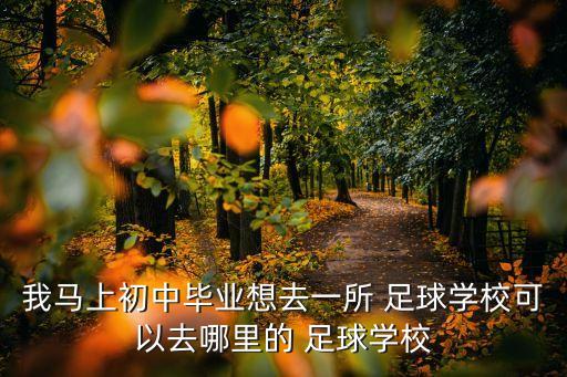 我馬上初中畢業(yè)想去一所 足球?qū)W?？梢匀ツ睦锏?足球?qū)W校