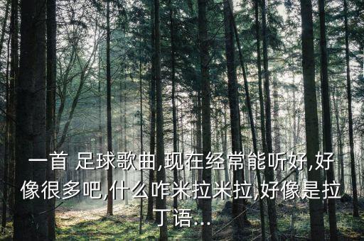 一首 足球歌曲,現在經常能聽好,好像很多吧,什么咋米拉米拉,好像是拉丁語...