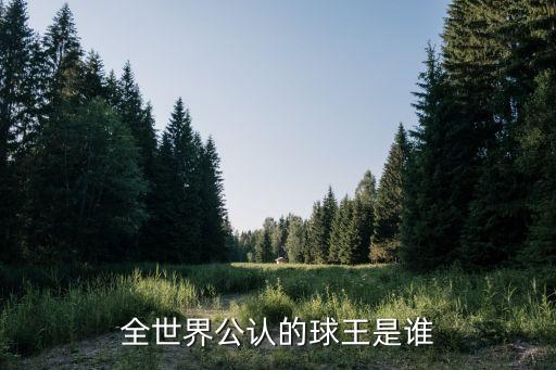 全世界公認(rèn)的球王是誰