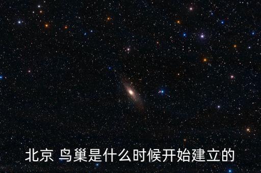 北京 鳥巢是什么時(shí)候開始建立的