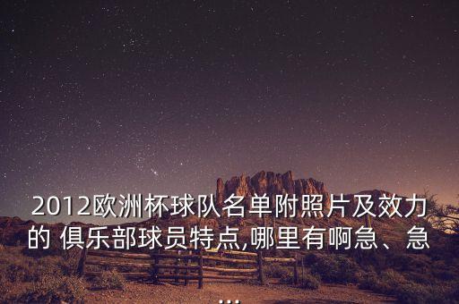 2012歐洲杯球隊(duì)名單附照片及效力的 俱樂部球員特點(diǎn),哪里有啊急、急...