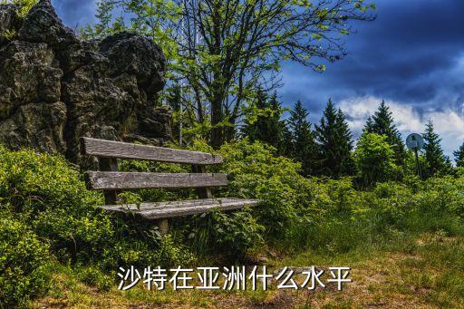 沙特足球國際排名,沙特阿拉伯世界排名足球